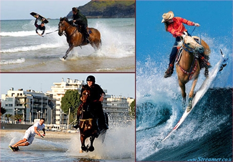 horse surfing גלישת סוסים