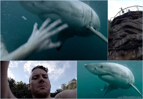 too close encounter with shark כריש בהפתעה באוסטרליה